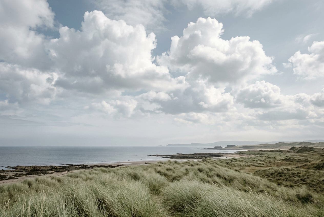 Open sky and sculptural clouds above the grass and sea of the Fife coast